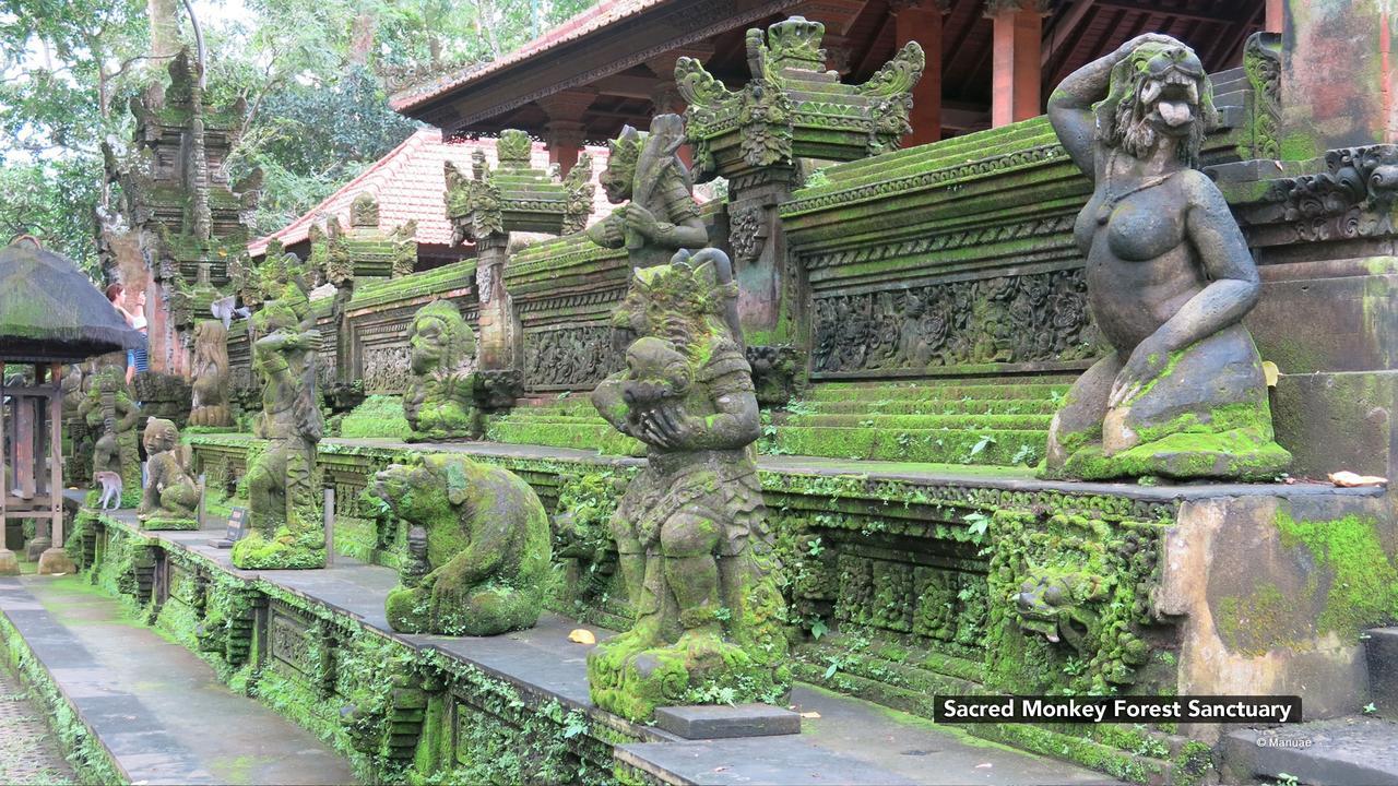 Zen Rooms Ubud Nyuh Kuning מראה חיצוני תמונה